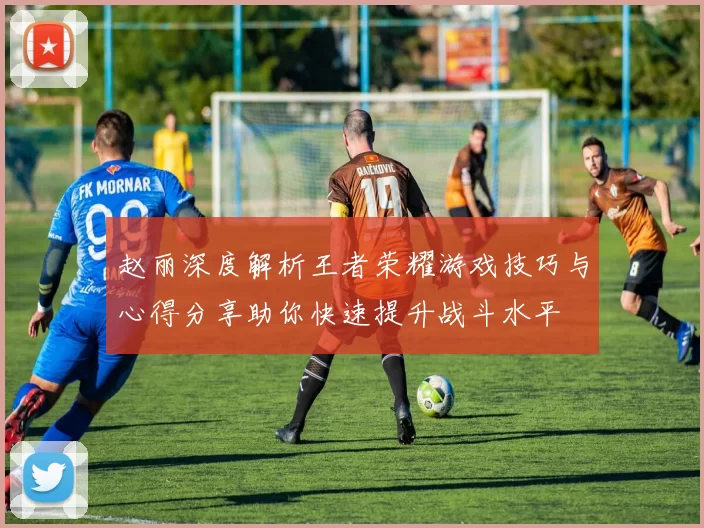 赵丽深度解析王者荣耀游戏技巧与心得分享助你快速提升战斗水平