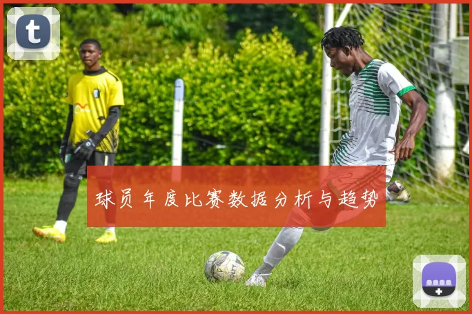 球员年度比赛数据分析与趋势