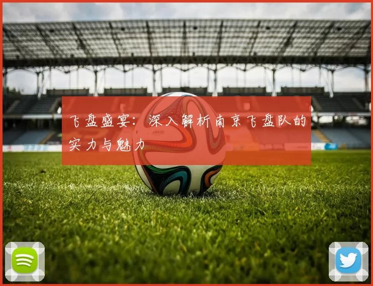 飞盘盛宴：深入解析南京飞盘队的实力与魅力