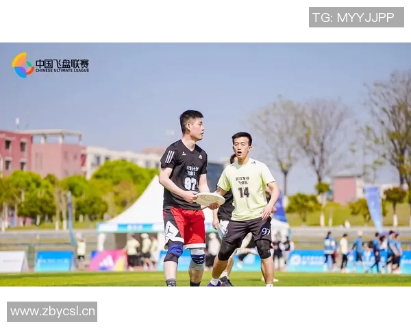 武汉飞盘队的阵地战揭秘：技术与团队协作的完美结合